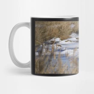 Frozen Pond Mug